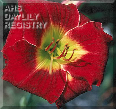 Radiant Ruby Jewel AHS image