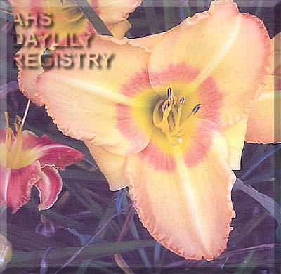 Hello Helen AHS image