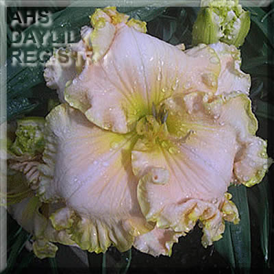 Across The Universe image