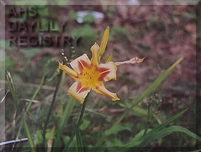 Kathleen Esther AHS image