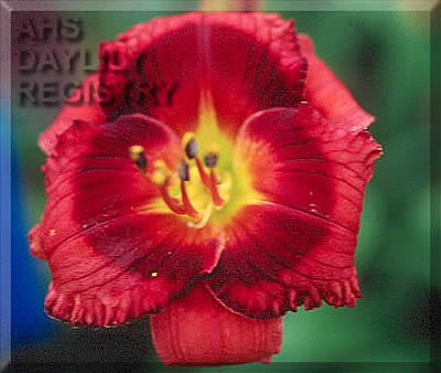 Broadway Charmer AHS image