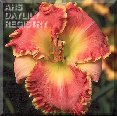 Natalie Antoinette AHS image