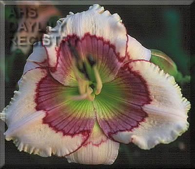 Fractal AHS image