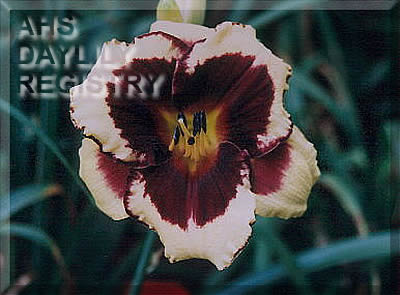 Blackberry Boogie AHS image