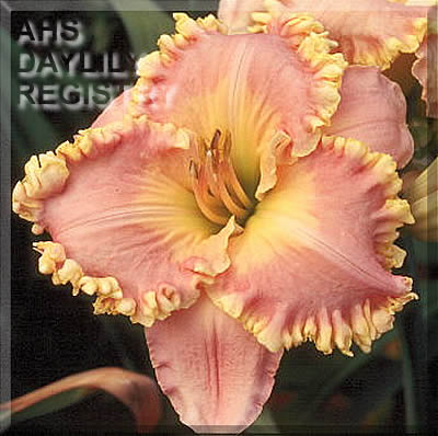 Aunt Lauree AHS image