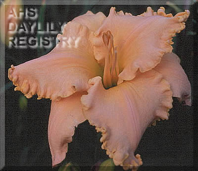 Passionate Prayer AHS image