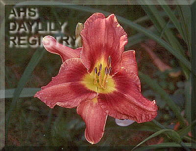 Ellen Jean AHS image
