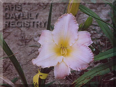 Roberta Moorman AHS image