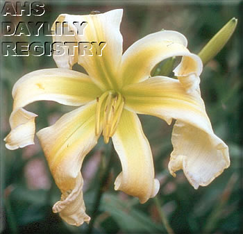 Green Swamp Gas AHS image