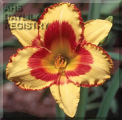 Jim Andrews AHS image
