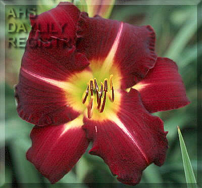 Street Smarts AHS image