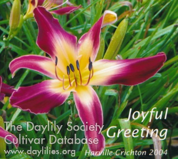 Joyful Greeting