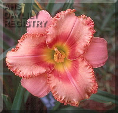 Ponchatoula Strawberry Fest AHS image