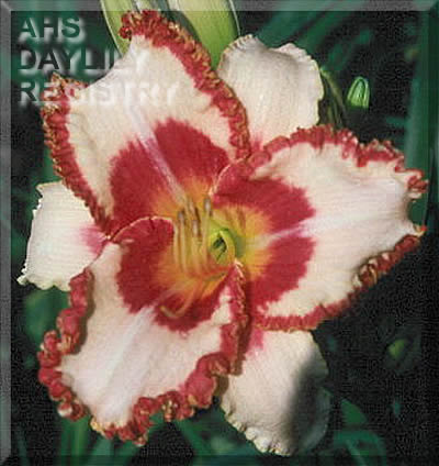 Cliff Arline AHS image