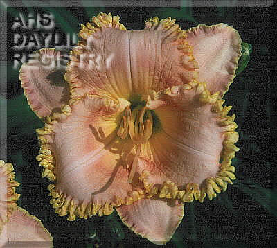 Dreams Happen AHS image