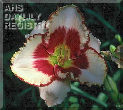 Endless Spring AHS image