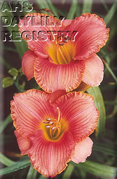 Sound the Trumpets AHS image