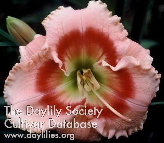 Fancy Lips AHS image