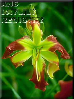 Scarpia AHS image