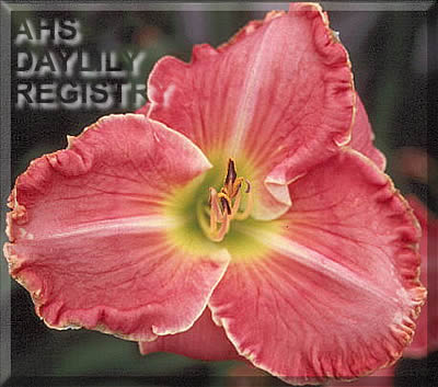 Sincere Devotion AHS image