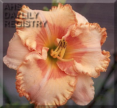 Prairie Smiles AHS image