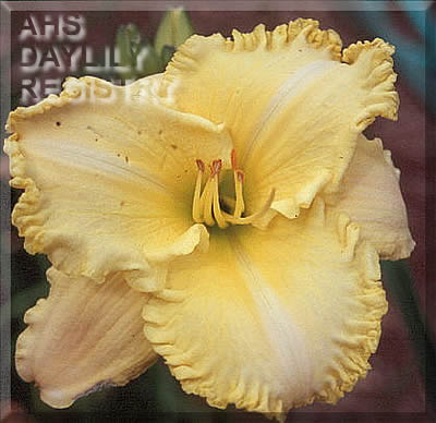 Lemon Blast AHS image