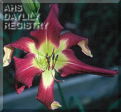 Crashdown Cafe AHS image