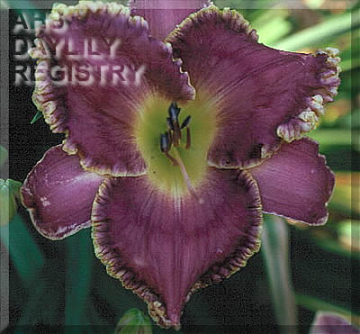 Music of the Spheres AHS image