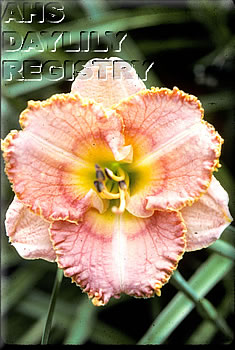 Beauty for a Day AHS image