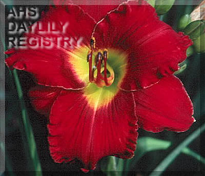 Red Storm Coming AHS image