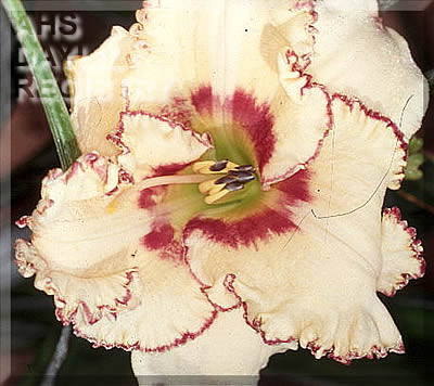 Bee's Harold Brondy K AHS image