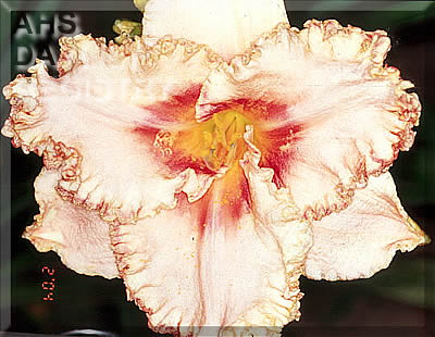 Bee's Ruth Ellen AHS image