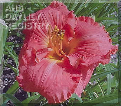 Margaret Marie Wenberg AHS image