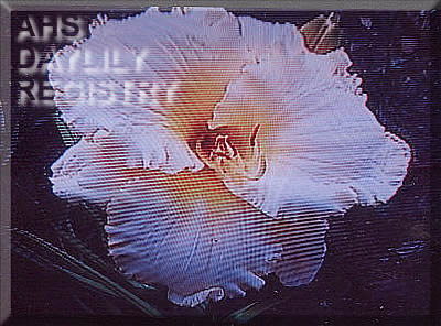 Patricia Ann Seaman AHS image