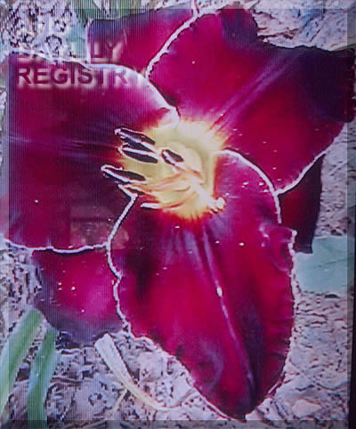 Hopalong Cassidy AHS image