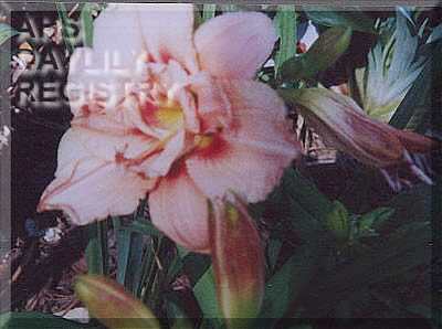Laymon E. Carlile AHS image