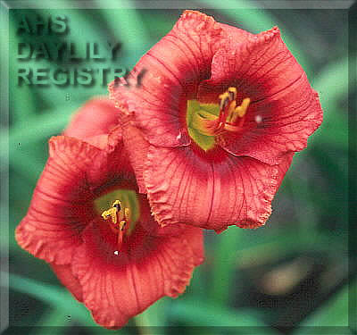 Hit Tune AHS image