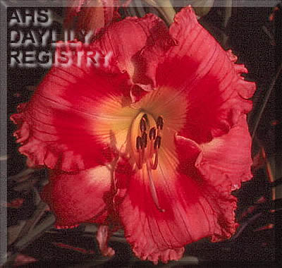 Painted Floozy AHS image