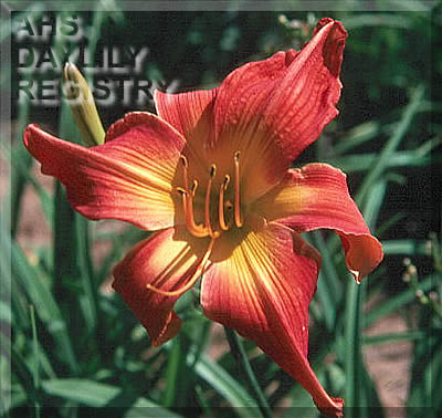 Flaming Jupiter