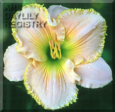 Essence of Emerald AHS image