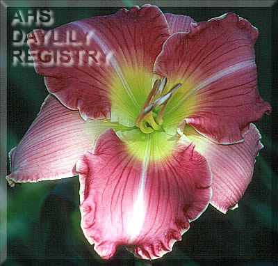 Monterey Masterpiece AHS image