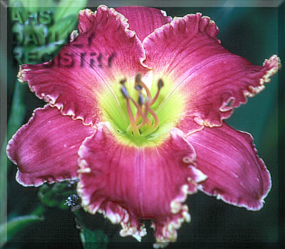 Conquistador's Fury AHS image