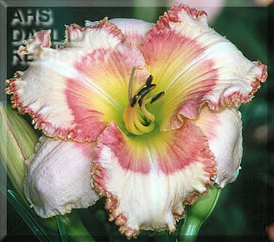 Countryside Charm AHS image
