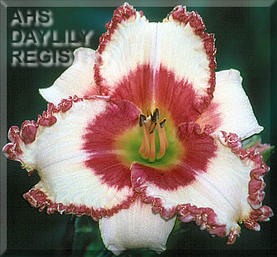 Nicole Ashley Scott AHS image
