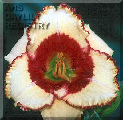Red Vortex AHS image