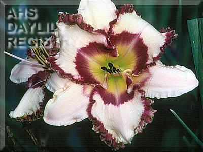 Cynthia Jane Scott AHS image