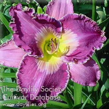 Cottage Gift AHS image