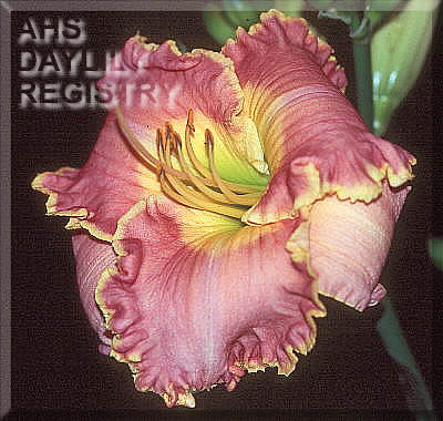 Eternal Glory AHS image