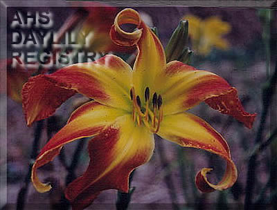 B.J. McMillen AHS image