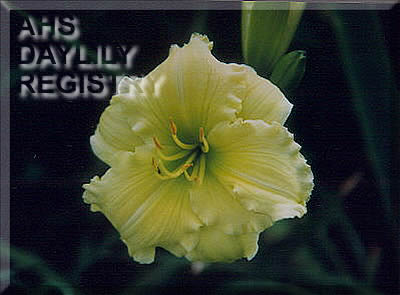 Heidrun Goldmann AHS image